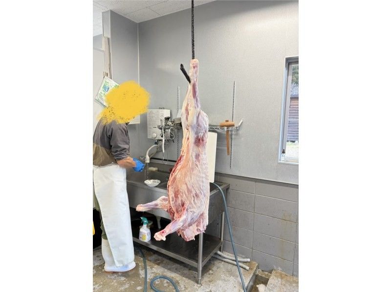 色川の小さな解体処理施設だものみち のギャラリー