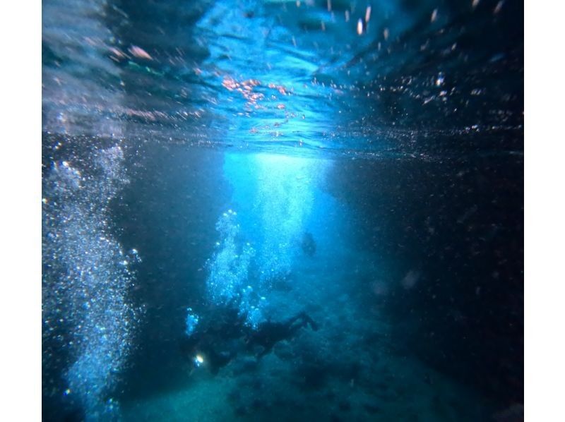 CHILL DIVE （チルダイブ） のギャラリー