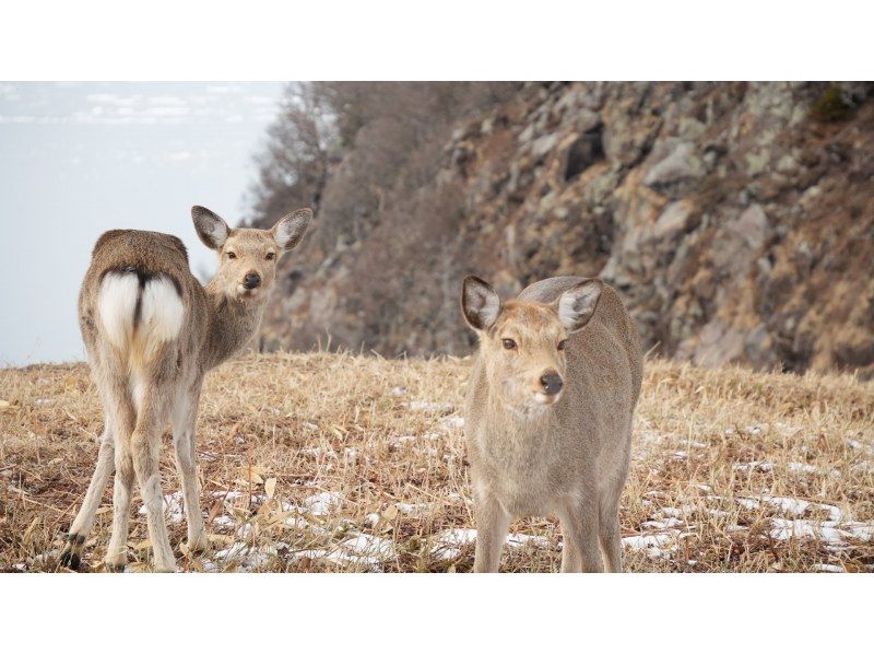 知床ネイチャーガイド星の時間(Starhours) のギャラリー