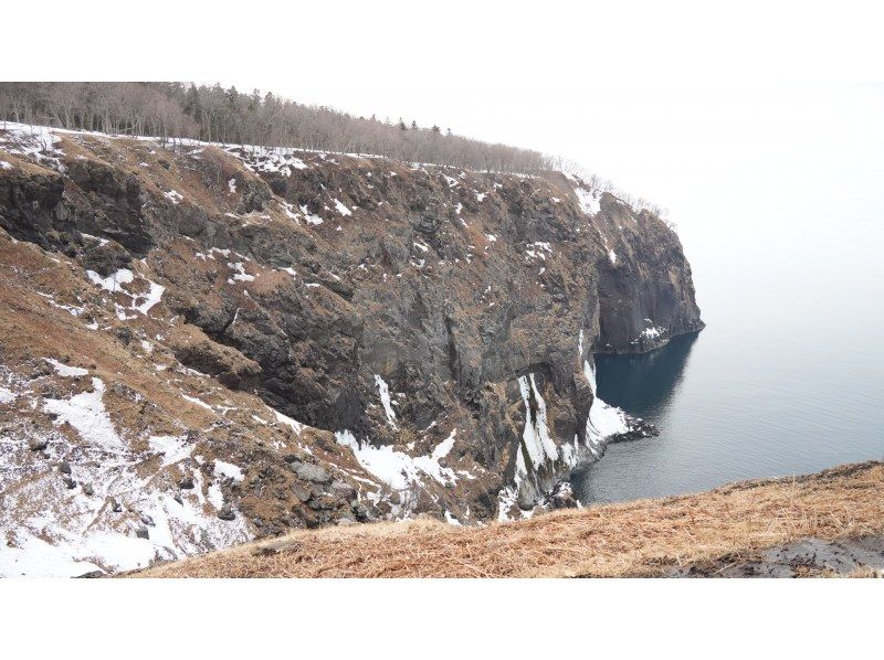 知床ネイチャーガイド星の時間(Starhours) のギャラリー