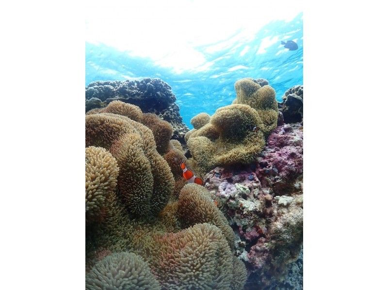 SUNSHINE MARIN 宮古島 のギャラリー