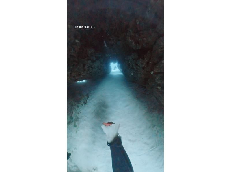 真心ダイバーズ のギャラリー