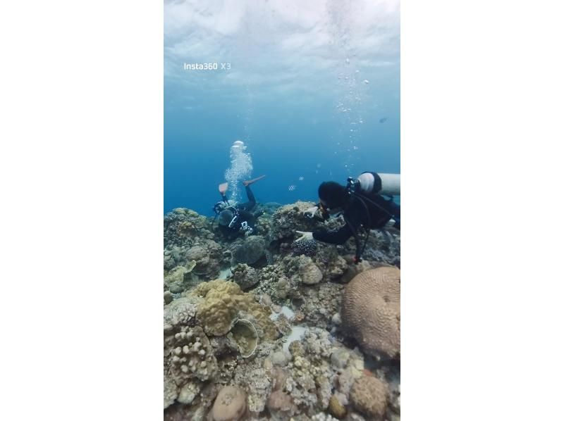 真心ダイバーズ のギャラリー