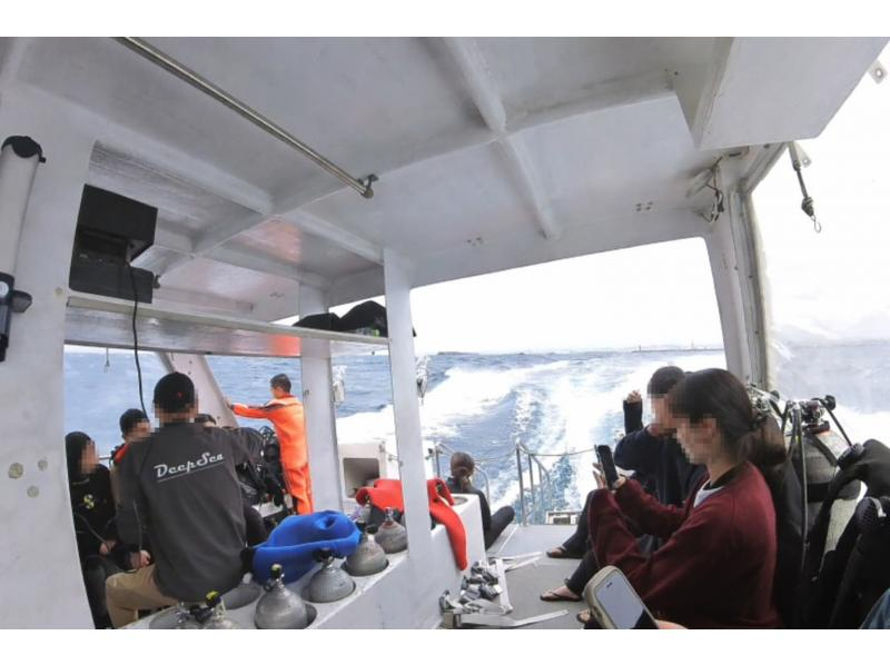 真心ダイバーズ のギャラリー