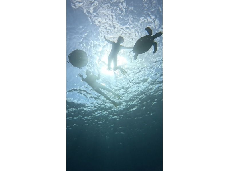 SHISHI石垣島 のギャラリー