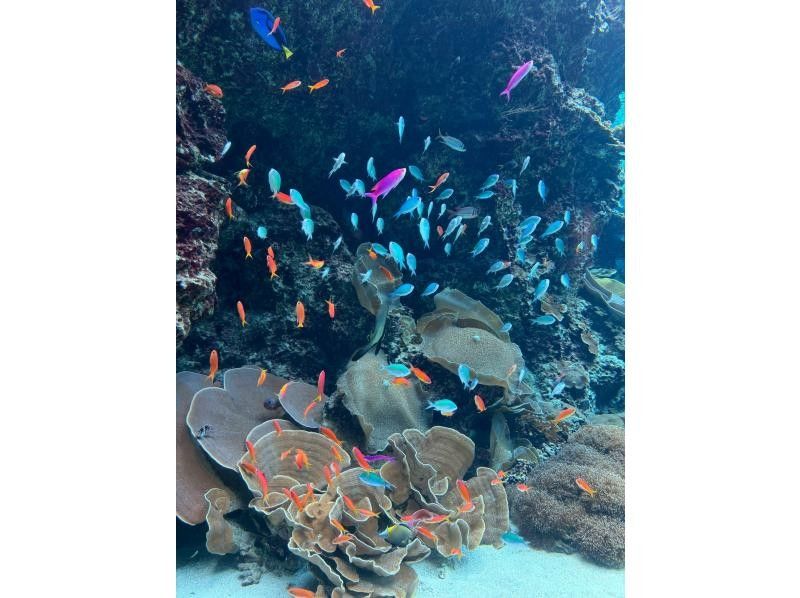 マリンショップlaugh-ラフ- のギャラリー