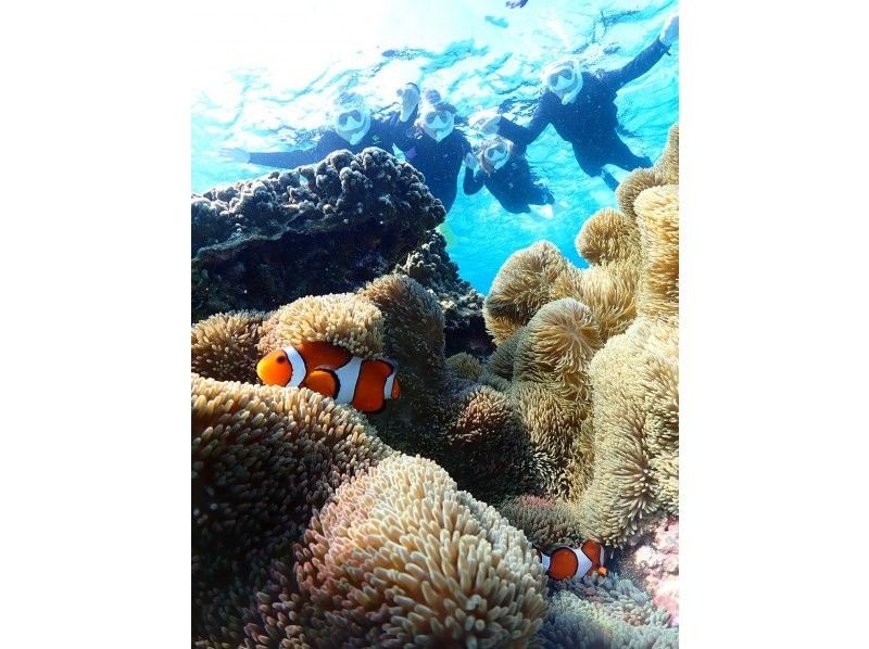 SUNSHINE MARIN 宮古島 のギャラリー