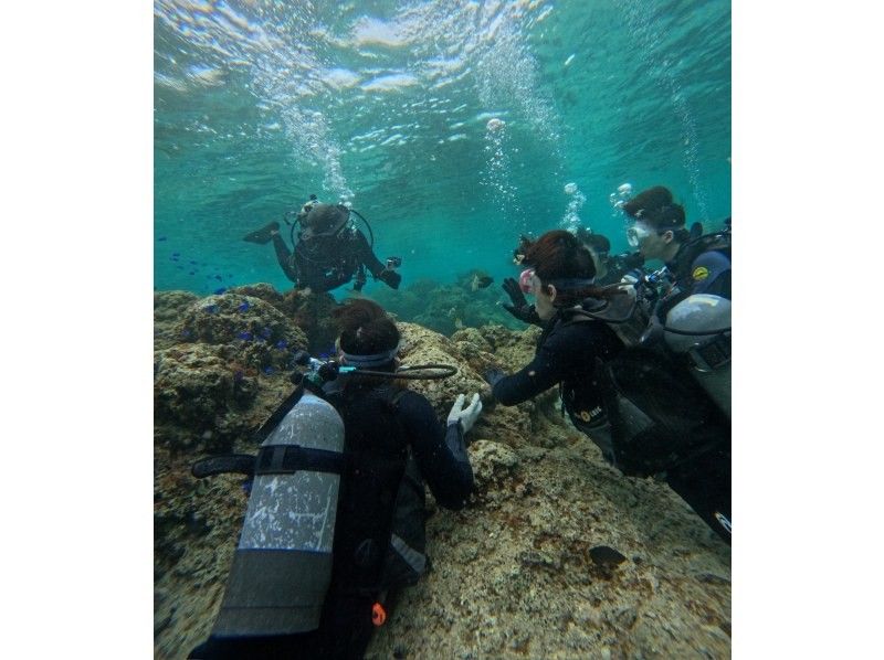 武藤潜水 のギャラリー