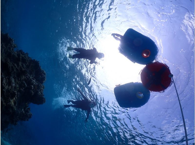 モンキーネイビー のギャラリー