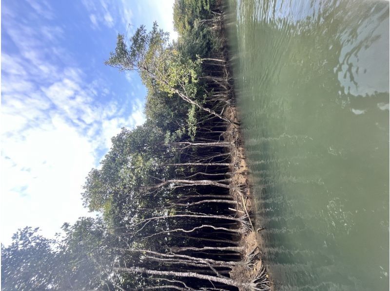 あまんだまん のギャラリー