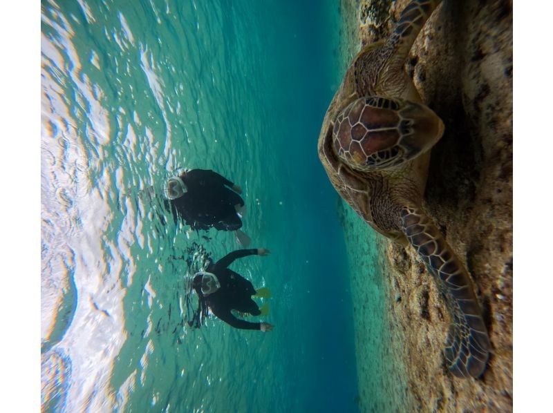 マーレ宮古島 のギャラリー