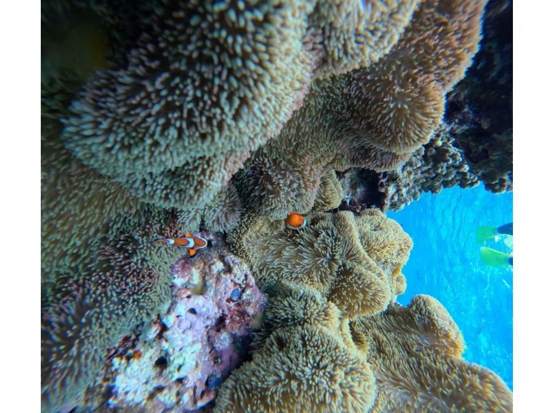 マーレ宮古島 のギャラリー