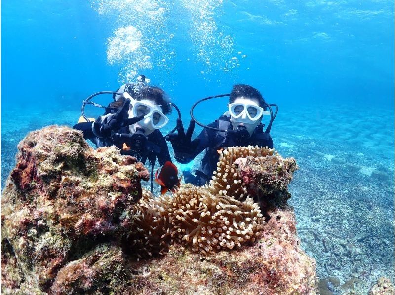 ちゃこたび のギャラリー