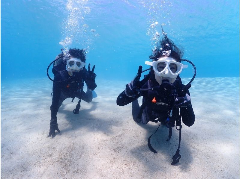 ちゃこたび のギャラリー