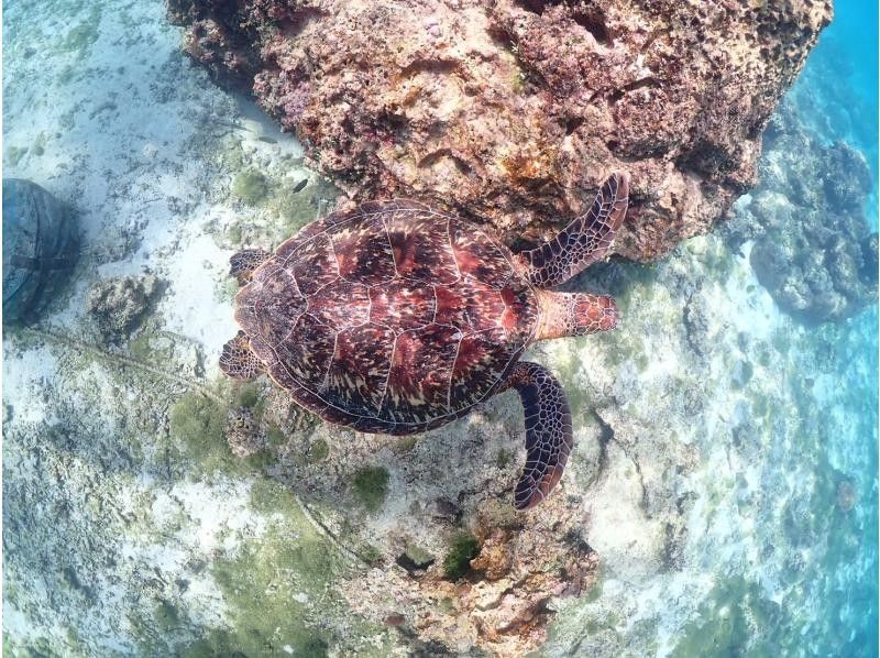 Nami宮古島 のギャラリー