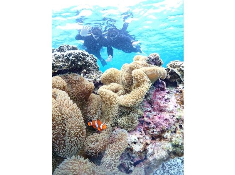 Nami宮古島 のギャラリー