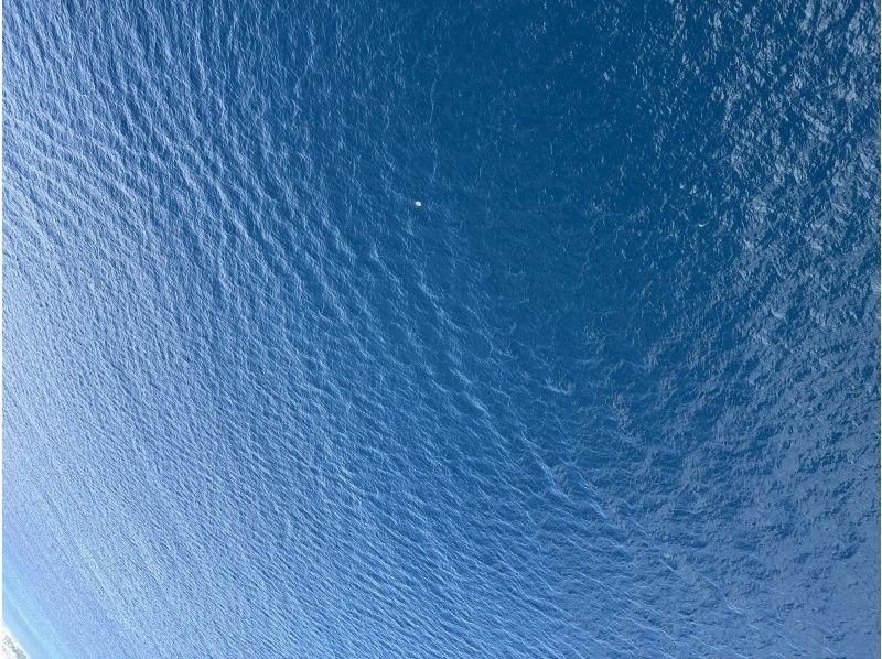 宮古島パラセーリングのパラダイス のギャラリー