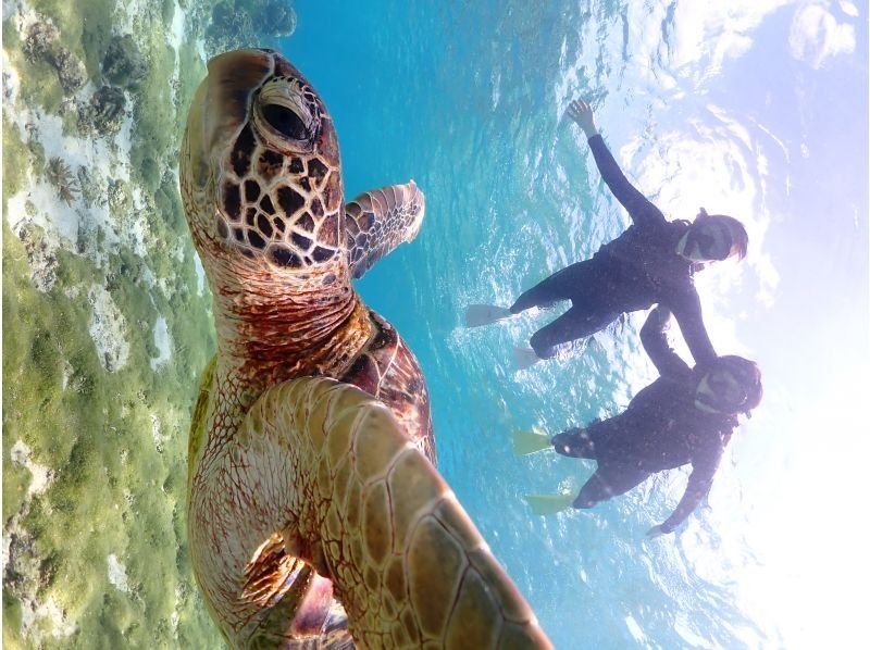 Nami宮古島 のギャラリー