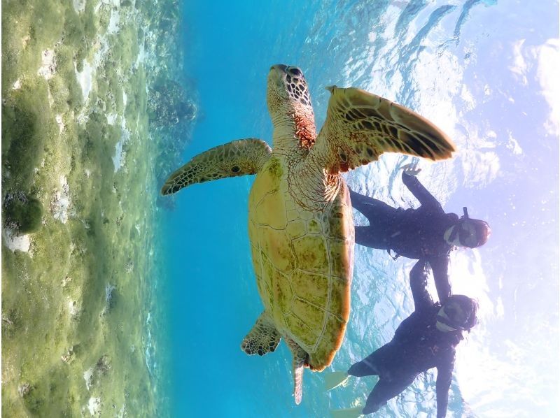Nami宮古島 のギャラリー