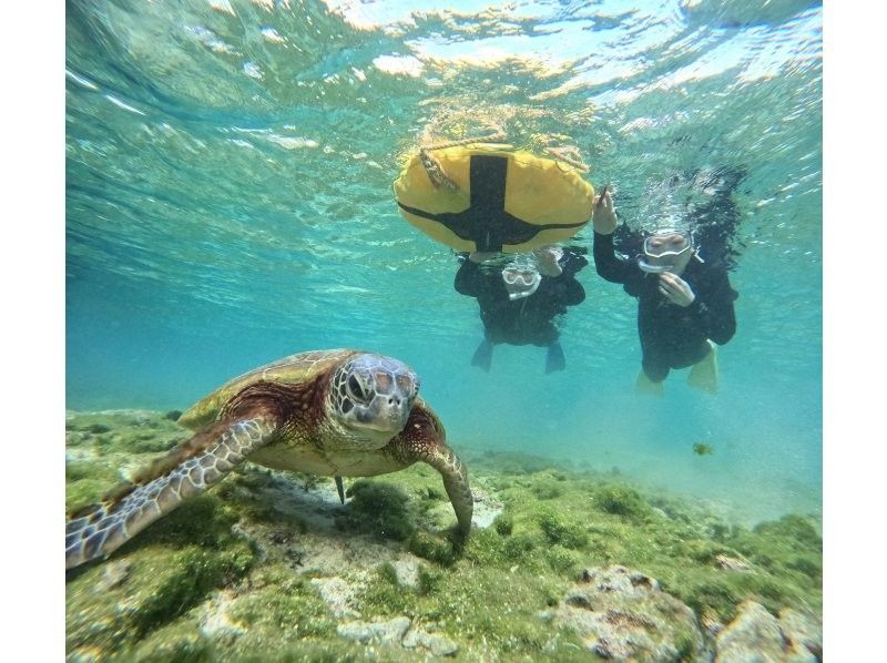 OCEAN LIFE のギャラリー