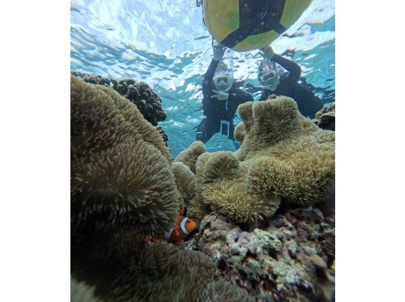 OCEAN LIFE のギャラリー