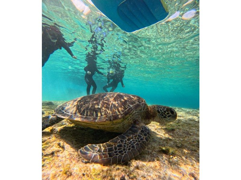 マーレ宮古島 のギャラリー