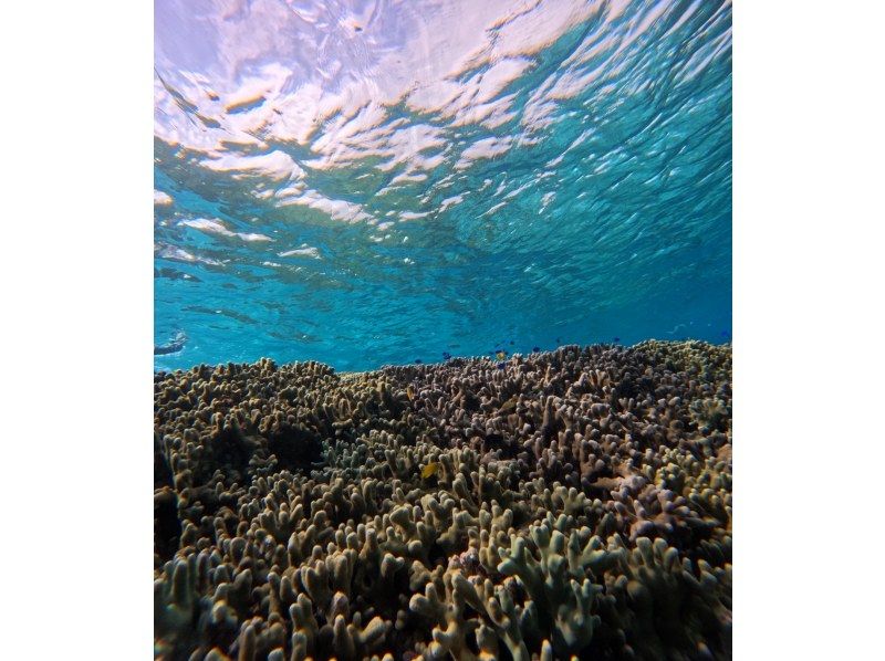 マーレ宮古島 のギャラリー