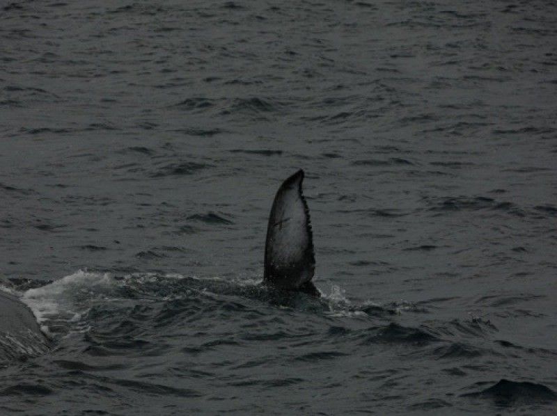 Sea World（シーワールド） のギャラリー