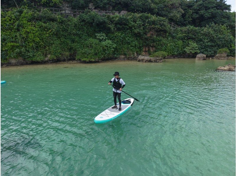 モンキーネイビー のギャラリー