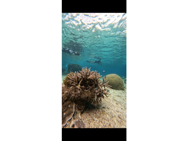 SUNSHINE MARIN 宮古島 のギャラリー