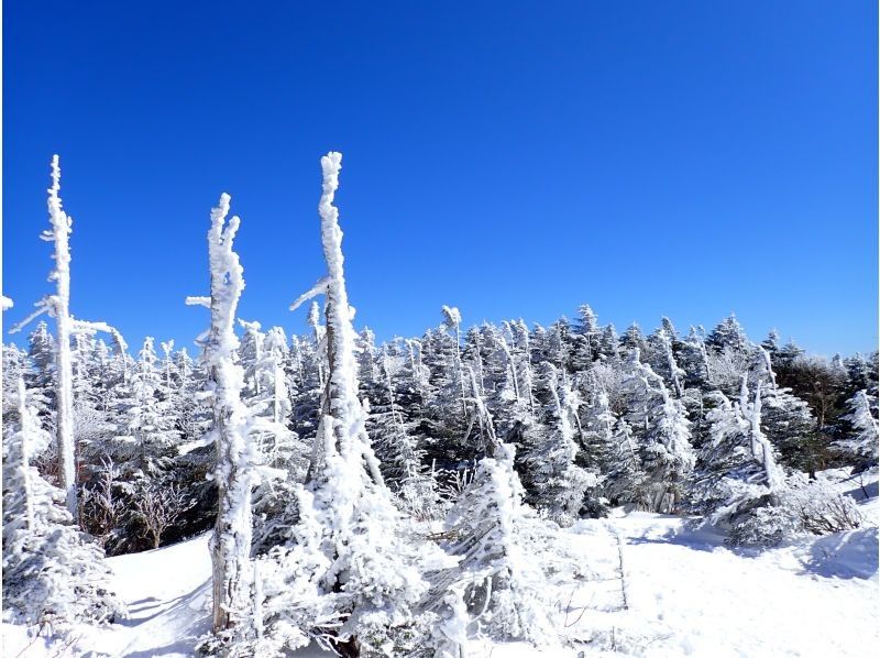 アルプスぼうけん組楽部(Alps Boken Club) のギャラリー
