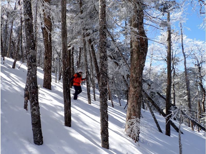 アルプスぼうけん組楽部(Alps Boken Club) のギャラリー
