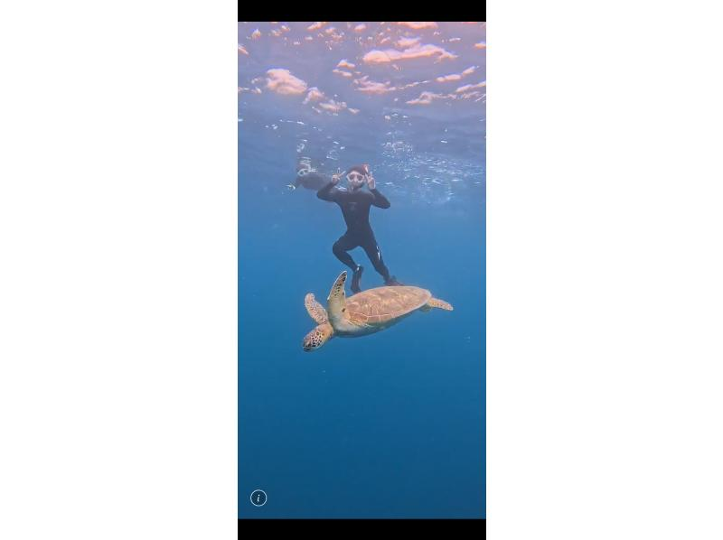 石垣島　ウミガメシュノーケル　マリンショップHAPPY のギャラリー