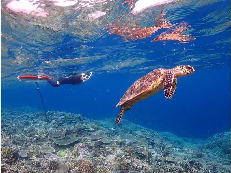 伊良部島観光ガイドゆうむつ のギャラリー