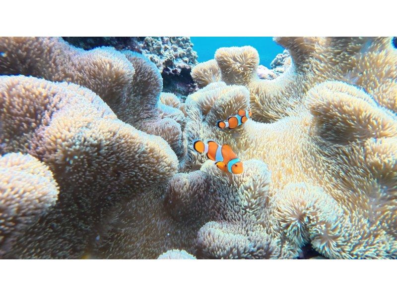 宮古島 ADVENTURE PiPi（ピピ） のギャラリー