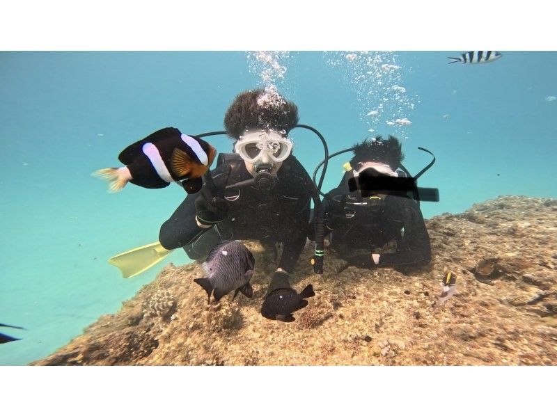 Simple marine service(シンプルマリンサービス) のギャラリー