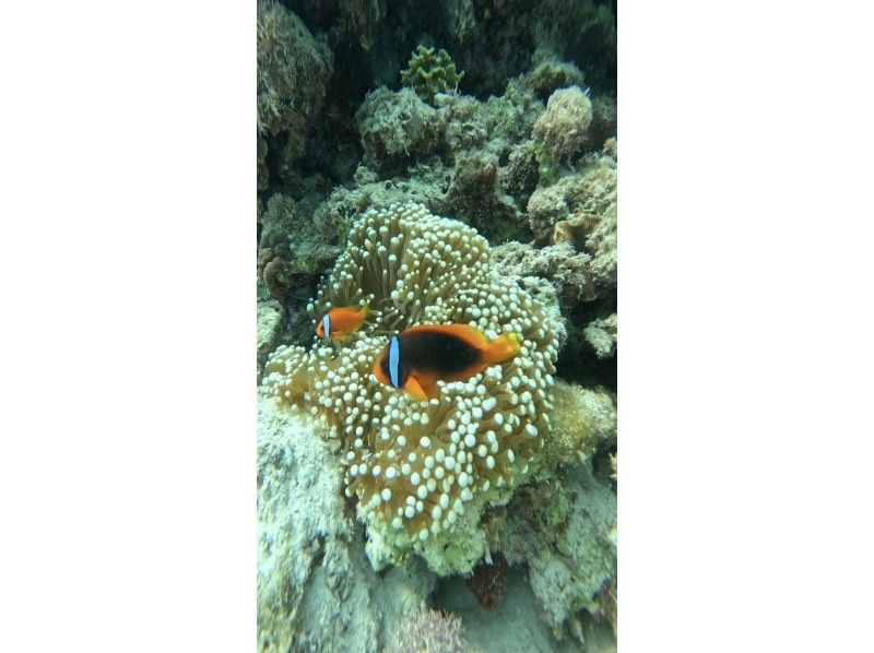 Simple marine service(シンプルマリンサービス) のギャラリー