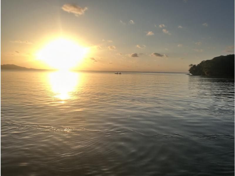 まるまりん のギャラリー