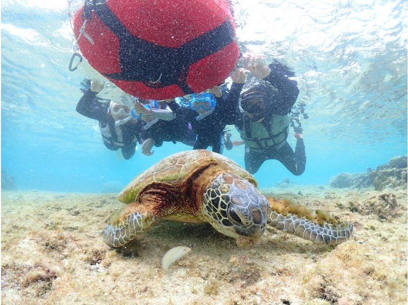 リコモ のギャラリー