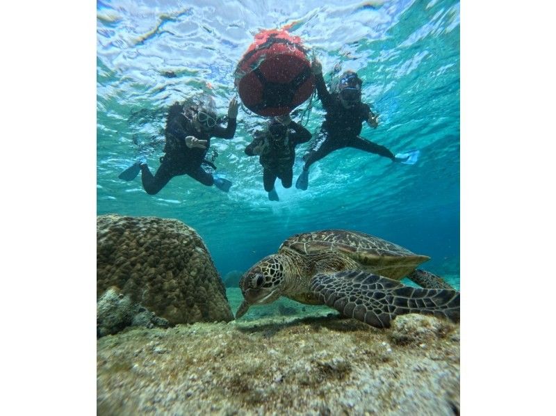 宮古島 ADVENTURE PiPi（ピピ） のギャラリー