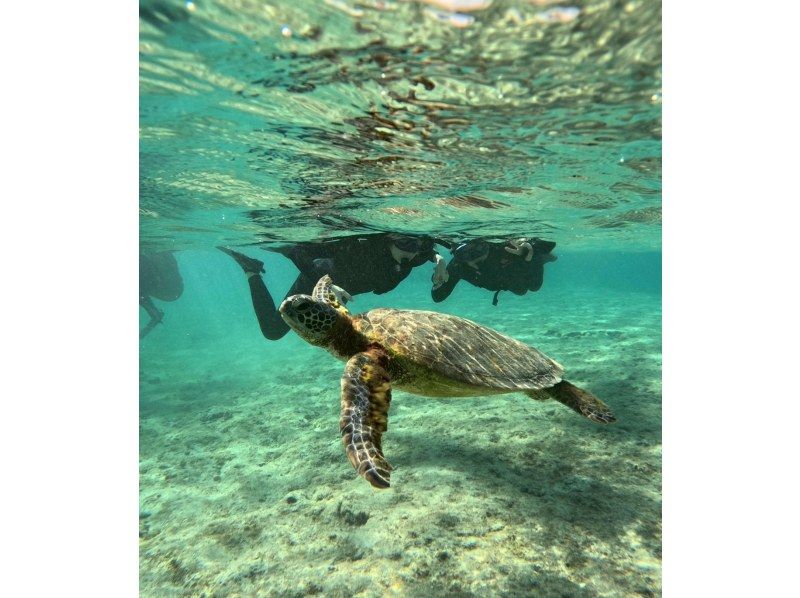 宮古島 ADVENTURE PiPi（ピピ） のギャラリー