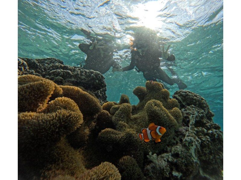 宮古島 ADVENTURE PiPi（ピピ） のギャラリー