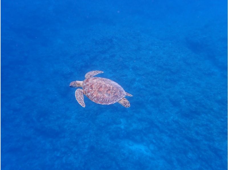 3 piece のギャラリー