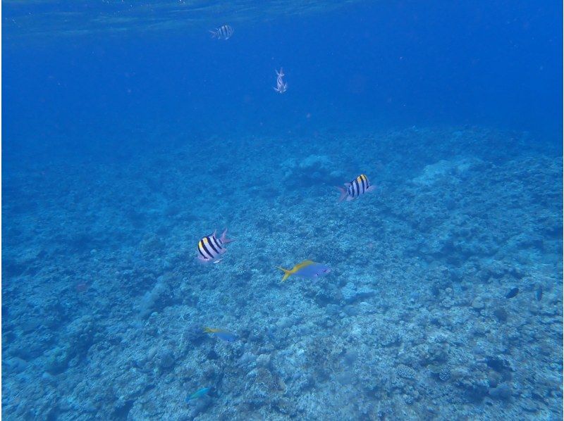 3 piece のギャラリー