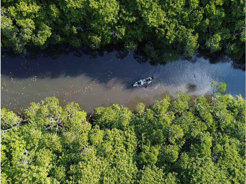 石垣島アクティビティクラブ のギャラリー