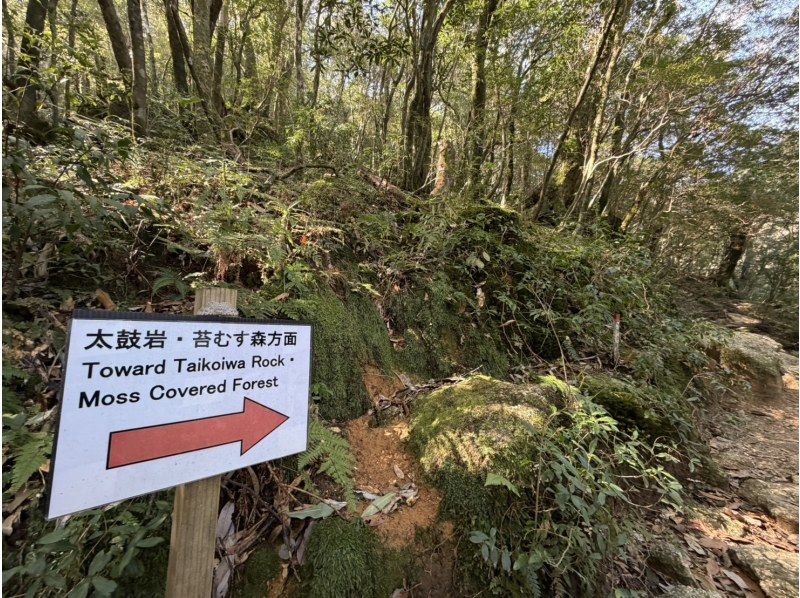 Yamakara屋久島 のギャラリー