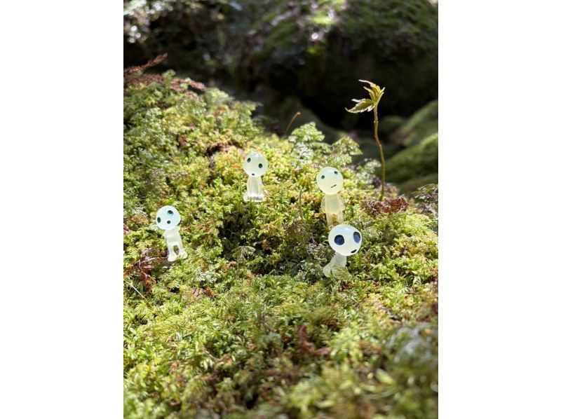 Yamakara屋久島 のギャラリー