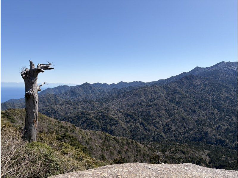 Yamakara屋久島 のギャラリー