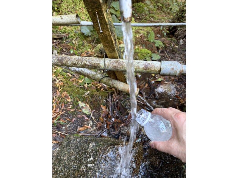 Yamakara屋久島 のギャラリー