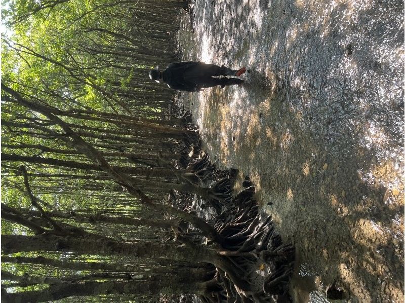 石垣島 海ツアー のギャラリー